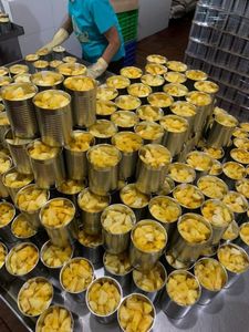Ananas frais en conserve, en tranches, en anneaux, goût sucré, acide citrique, durée de conservation de 24 mois pour la transformation alimentaire - Contact +84971879377 - Product Image 4