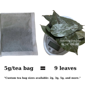 Private Label Soursop Tea Bags | OEM Service | Natural Herbal Detox Tea - Product Image 6