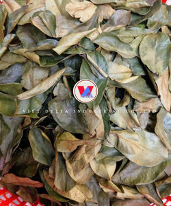 Hojas de Guanábana Orgánicas, Guanábana, Guanábana Roja, 100% Secas Naturalmente - Hojas Grandes - Calidad Superior - Product Image 5