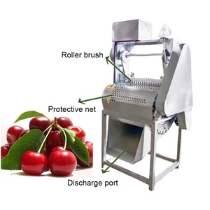 Equipo de Descorazonado de Frutas de Acero Inoxidable Totalmente Automático para Exportación de Calidad - Product Image 2