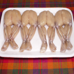 Cuisses de grenouille surgelées de qualité supérieure / Cultivées de manière durable / Transformées par IQF / Pour la vente au détail et l'hôtellerie-restauration / MS ALINA - Product Image 5