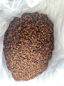 Suministro Directo de Vietnam: Anís Estrellado Seco en Cápsulas Enteras, Bolsa de 4 Oz, Especia de Calidad de Exportación para Cocinar - Product Image 5