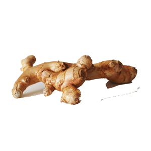 Jengibre maduro en oferta/semillas de jengibre - Product Image 3
