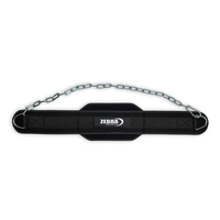 Cinturón de Entrenamiento de Alta Resistencia para Levantamiento de Pesas con Cadena, Neopreno, Gimnasio, Fitness, Ejercicios de Dominadas, Doble Soporte