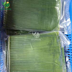 VIET THIEN PHU VTP Hoja de Plátano Verde Congelada Premium – Calidad de Exportación – Suministro a Granel - Product Image 5