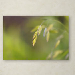 Cora Niele's Sea Oats Grass Wall Art Print Decoración botánica del artista - Product Image 2