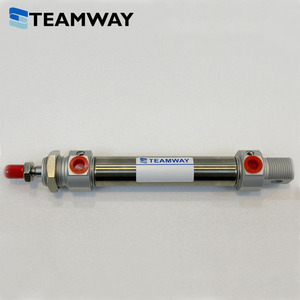Cylindre pneumatique miniature TEAMWAY DS, alésage 12-40 mm, course 25-300 mm, cylindre à air en acier inoxydable, remplace SMC CDJ2B UNIMEG - Product Image 2