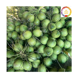 Young Coconut | Green Husk | Ready to Drink | Best for Coastal <b>Beverage</b> Supply | Vietnam Supplier - Product Image 2