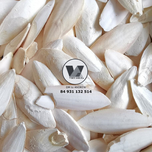 กระดูกปลาหมึกแห้งขายส่ง – อาหารเสริมแคลเซียมจากธรรมชาติ - Product Image 2