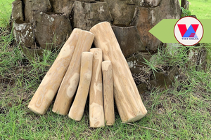 Disponible: Juguete de Madera Natural de Café para Perros, Sostenible, Sin Astillas, para Limpieza Dental, para Todas las Razas de Perros - Product Image 4