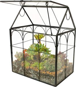 Terrario de Vidrio Irregular con Puerta, Maceta Geométrica para Suculentas, Maceta para Plantas, Maceta Pequeña para Bonsái, Recipiente para Reptiles - Product Image 6