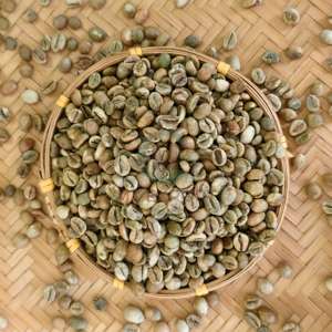 Disponible en Grandes Cantidades, Granos de Café Robusta Vietnamita Sin Tostar, Exportación a Granel en Bolsas de Polipropileno de 60 kg desde Vietnam - Product Image 2