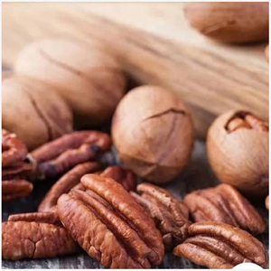 Noix de pécan fraîches de haute qualité, vente en gros, traitement industriel, noix de pécan bon marché de haute qualité à vendre - Product Image 5