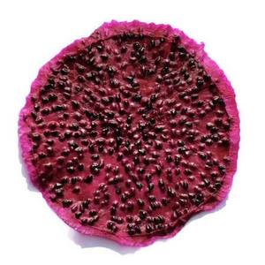 High Quality Chewy Soft Dried Red Dragon Fruit Slice Natural <b>Sweet</b> Tropical Snack Wholesale Bulk Supplier - Product Image 1