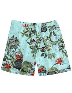 Men Spring <b>Shorts</b> Tropical Print Elastic Waist Drawstring Beach Summer Casual Holiday Colorful Lightweight top mens summer beach - Product Image 5