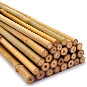 Poteaux en bambou robustes, matière première pour la construction, prix le plus bas, vente en gros de poteaux en bambou. - Product Image 6