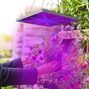 Lampe de culture LED à spectre complet 225 LED, suspension intérieure pour serres, succulentes, semis et légumes - Fréquence AC - Product Image 2