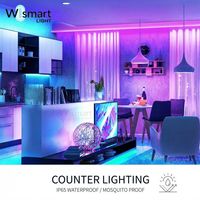 Bande lumineuse LED néon PVC 5M, profil rond, étanche IP65, haute luminosité, flexible, pré-câblée, emballage de vente au détail pour éclairage de signalisation