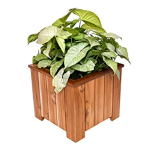 Meilleur prix pour des pots de plantes en bois d'acacia naturel, pots à plantes en cubes, pots de jardinage extérieurs, vente en gros depuis l'usine du Vietnam - Product Image 4
