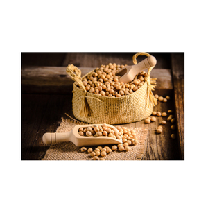 Graines de soja de qualité export pour le commerce mondial et l'industrie agricole, avec des graines de soja de première qualité préservant la pureté naturelle - Product Image 1