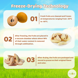 Proveedor de exportación B2B, rebanadas de fruta Chikoo de Sapodilla liofilizada, sabor dulce, cultivo común, envasado al vacío, envasado a granel - Product Image 2