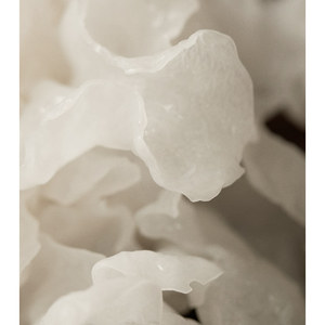 Je suis de la crème faciale au collagène de champignon - Product Image 1