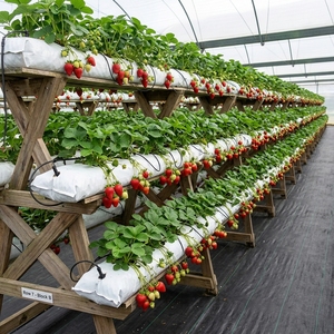 OVERSEAS <b>Plastic</b> Hydroponic Grow Bags (Black/White)-Durable High Temp Resistant 1000mL Capacity 5-Year <b>Shelf</b> Life - Product Image 4