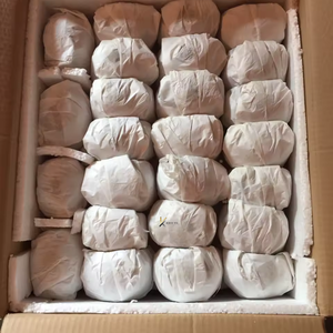 Meilleures ventes : Coupe à glace en noix de coco écologique non polie pour fêtes, bol en noix de coco personnalisé pour collations et boissons, du Vietnam - Product Image 4