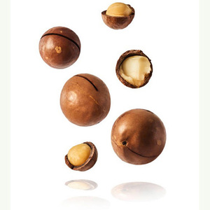 Nueces de macadamia en cáscara de nueva cosecha - Precio económico, tostadas, en venta - Product Image 1