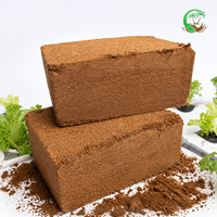 Bloc de coco peat 5 kg de haute qualité à faible humidité 14-18% faible EC, organique, écologique, prêt à l'emploi, biodégradable, fournisseur en gros pour l'exportation