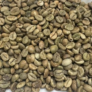100% Natural Robusta <b>Coffee</b> <b>Beans</b> for Roasting Natural Process Green <b>Coffee</b> <b>Beans</b> Size 16 Vietnam Highland Farm Fresh Crop - Product Image 1