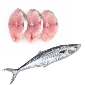 เนื้อปลาคิงฟิชสดและแช่แข็ง คุณภาพพรีเมียม สำหรับส่งออกขายส่ง - Product Image 3