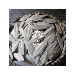 BEST SELLING Cuttlefish Bone Dried Clean Mineral Source Parrot Beak Care Calcium Support Fast Absorption Vitamin D3 Health - Product Image 1