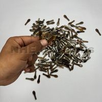 Embouts en corne de buffle faits à la main, marron clair, durables, de qualité supérieure, pour la fabrication de montures de lunettes modernes, composants naturels pour lunettes NHE