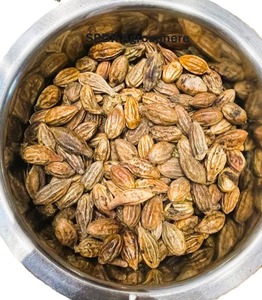 Tanninos Vegetales Naturales Myrobalan (Terminalia Chebula Amarilla), Fruta Seca Entera, Secada al Sol, Región Montañosa, Maharashtra Occidental, India - Product Image 1