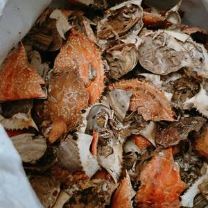 Vietnamese Dried <b>Crab</b> <b>Shell</b> for Fertilizer and Chitin Extraction with Best Price - Product Image 2