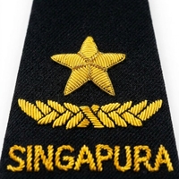 Epaulet Gaya Vintage Sepasang Desain Bintang Emas dan Cabang, Papan Bahu Seragam Hitam dengan Peniti Pengaman, Epaulet Kustom