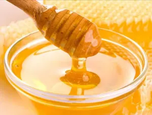 Miel de Eucalipto Orgánica Natural, Pura, Cruda, Rica en Antioxidantes para un Estilo de Vida Saludable, en Botella, a Granel, Exportación de la India, Precio Bajo - Product Image 3