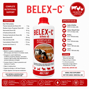 Complément liquide BELEX-C à base de complexe B et de vitamine C pour bovins, buffles, veaux, moutons, chèvres et volailles. |   Pack : 500 ml - Product Image 3