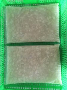 Guanábana congelada de alta calidad | 100% Fruta congelada fresca | El mejor precio al por mayor Guanábana congelada de Vietnam - Product Image 6