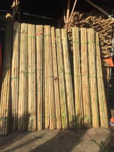 Straight Bamboo <b>Poles</b> Sticks Wholesale Price Raw Bamboo <b>Poles</b> <b>for</b> <b>Gardening</b> and Decoration Bamboo <b>Pole</b> - Product Image 1