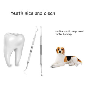 Dog Teeth <b>Cleaning</b> Tools Stainless Steel Double Head Pet Dental <b>Scraper</b> Scaler Professional Canine Tartar Remover Plaque - Product Image 5
