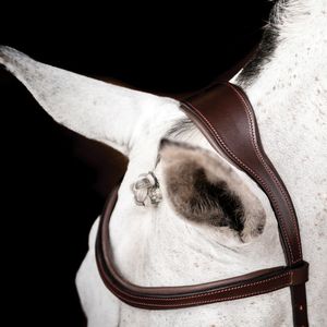 Lightweight English Bridle Leather <b>Halter</b> with Contrast Color Soft Leather Padded Brass Hardware Custom Design Bridle - Product Image 2