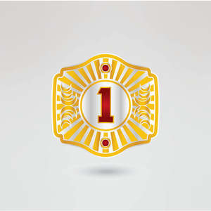 Custom Gold <b>Wrestling</b> Belt with Globe Design and Red Text Logo for Championship Use Custom gold <b>wrestling</b> belt Globe design cham - Product Image 3