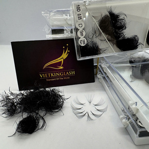 Wholesale Vietnam Handmade Premade 0.03 10D Wispy Eyelash Extensions Synthetic Hair Natural Long D Curl Wet Look Volume <b>Lashes</b> - Product Image 6