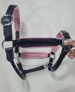 Premium Quality Durable Adjustable English Style Horse Riding Halter Genuine Leather Customizable for English Saddle AL RAHEEM - Product Image 3