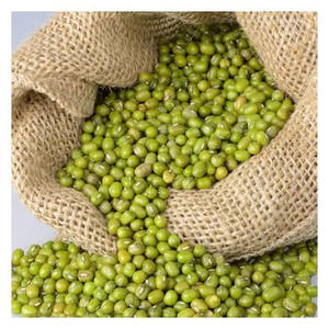 Frijoles mung verdes envasados a granel para fábricas de alimentos, productores de snacks, productores de brotes y empresas de alimentos saludables - Product Image 5