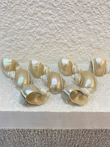 Anillo para Servilletas Hecho a Mano en Vietnam con Diseño de Caracol y Concha Marina, para Decoración de Mesa con Temática Oceánica en Hoteles y Banquetes - Product Image 6