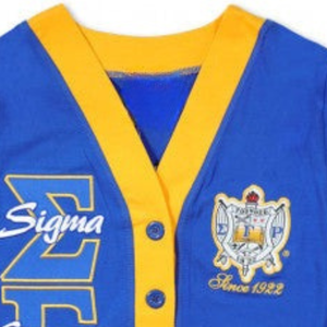 Cardigan Léger Personnalisé Sigma Gamma Rho Unisexe – Pull Décontracté à Boutons pour Sororité Grecque – Veste Tricotée SGRho Personnalisée - Product Image 2