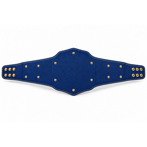 Ceinture de championnat universitaire personnalisée pour la lutte, la boxe, le MMA, avec plaques métalliques, en cuir PU, logo personnalisé, fabrication OEM - Product Image 6